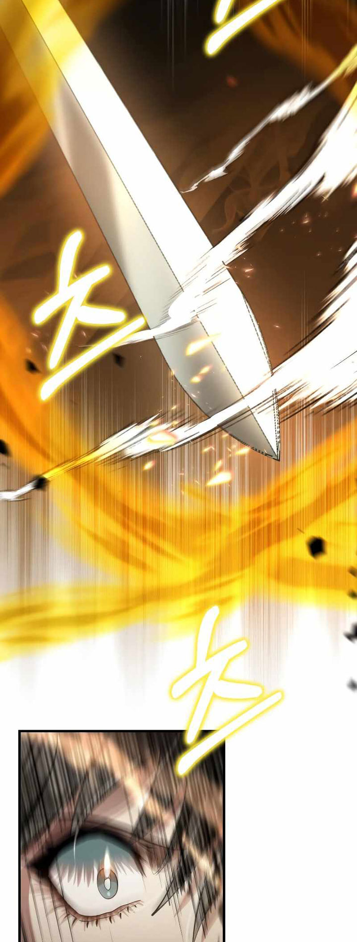 Doctor’s Rebirth