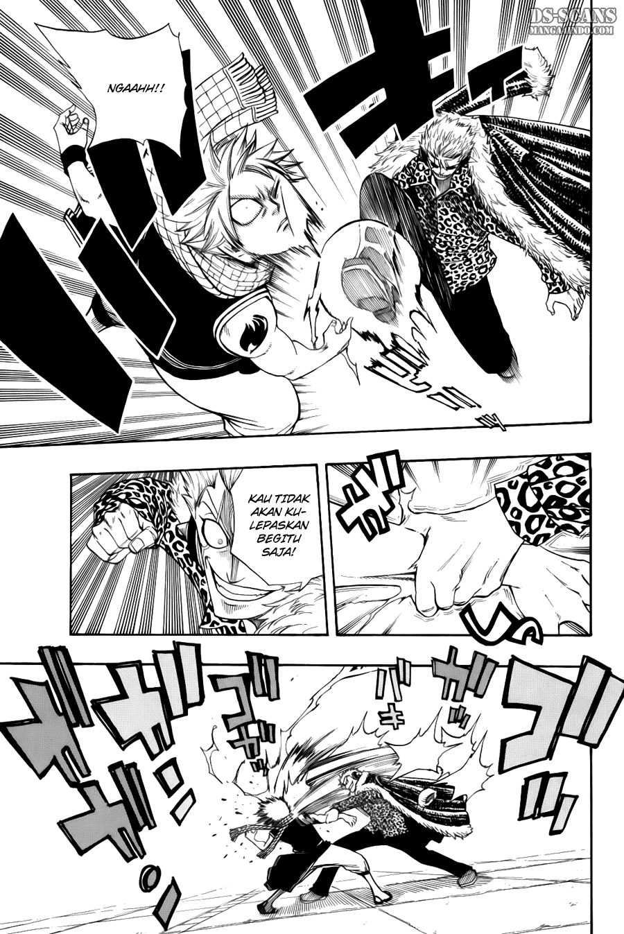 Fairy Tail