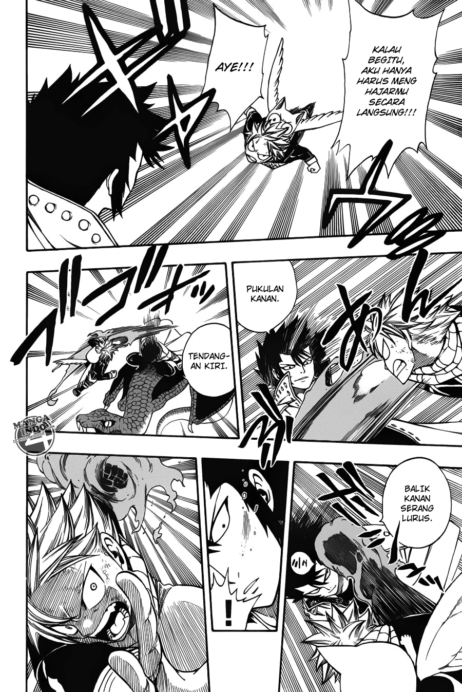 Fairy Tail