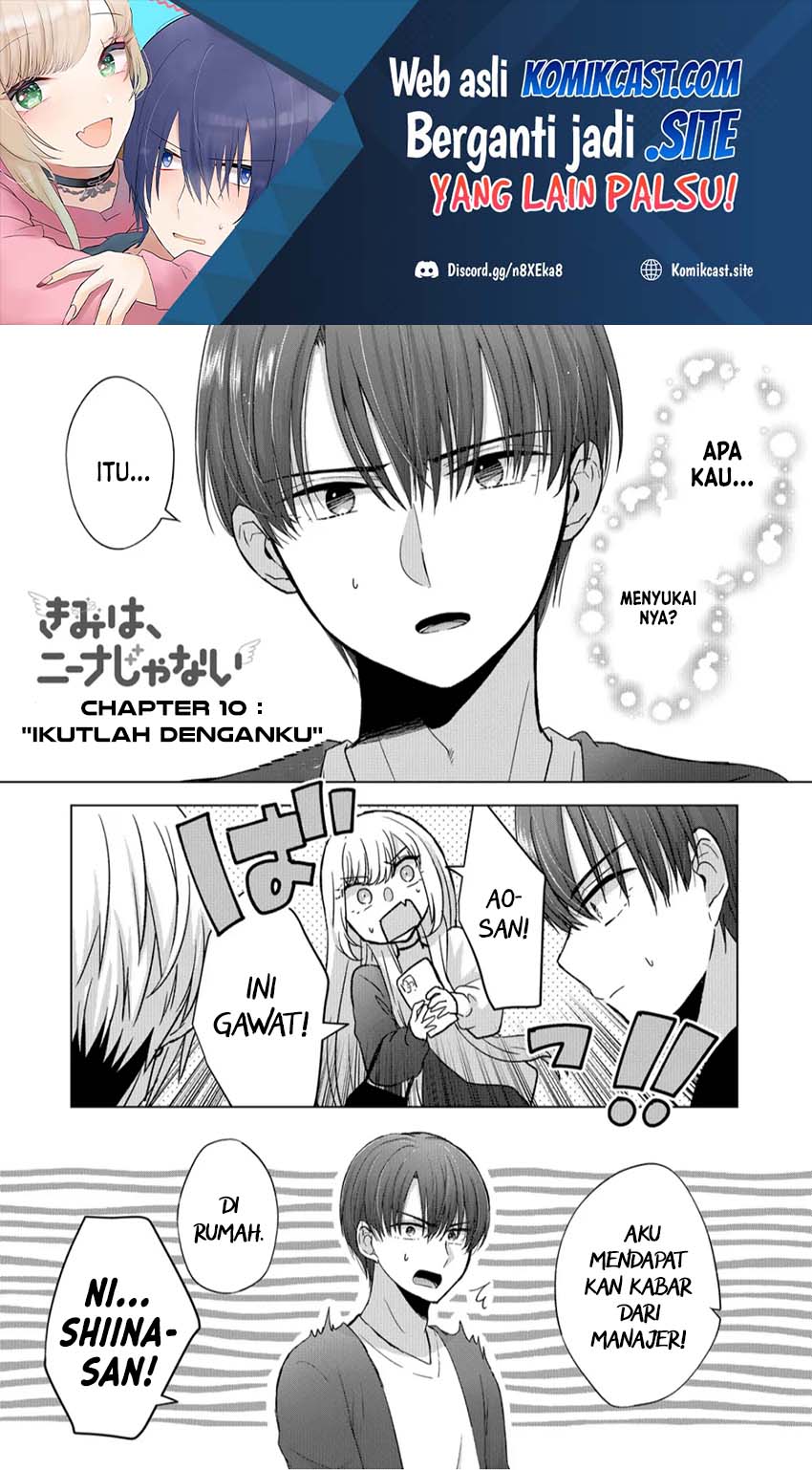 Kimi wa, Nina Janai