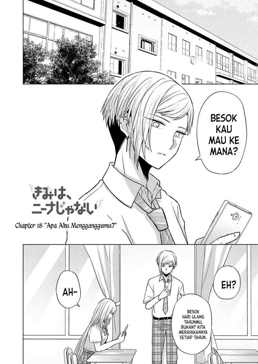 Kimi wa, Nina Janai