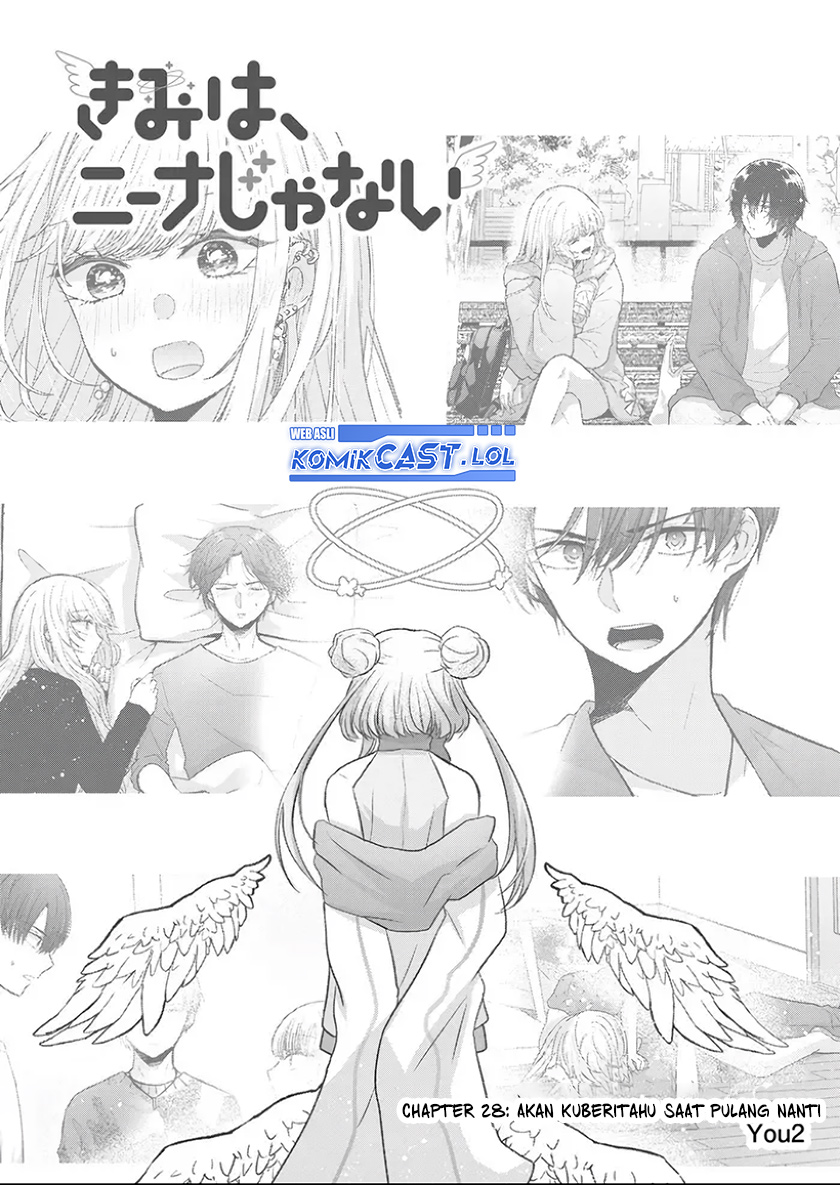 Kimi wa, Nina Janai
