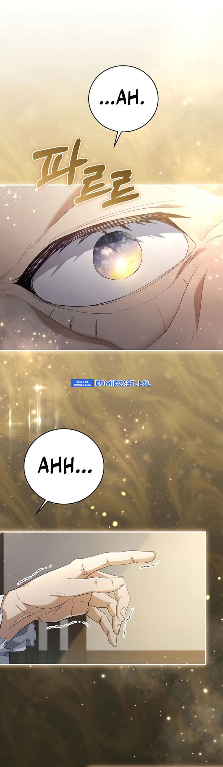 Margrave’s Bastard Son was The Emperor