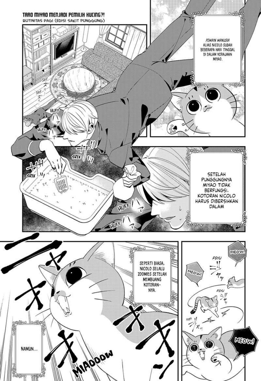 Miyaou Tarou ga Neko wo Kau Nante