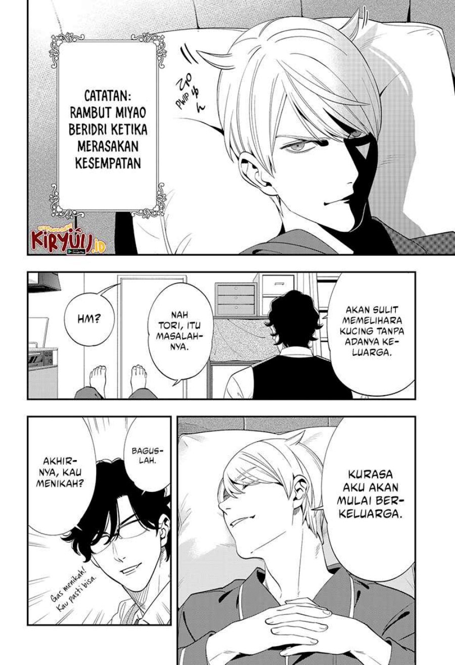 Miyaou Tarou ga Neko wo Kau Nante