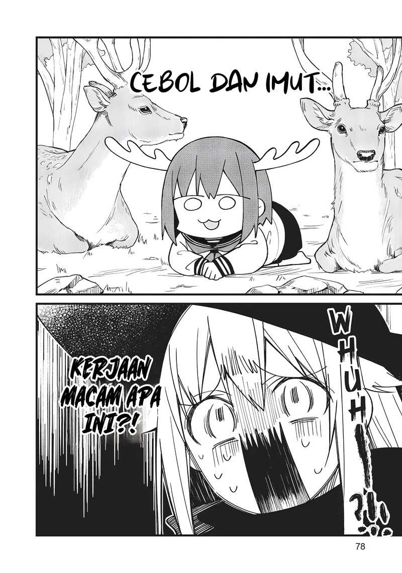 Shikanoko Nokonoko Koshitantan