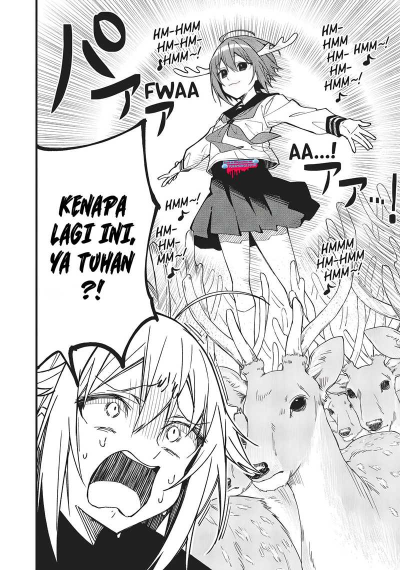 Shikanoko Nokonoko Koshitantan