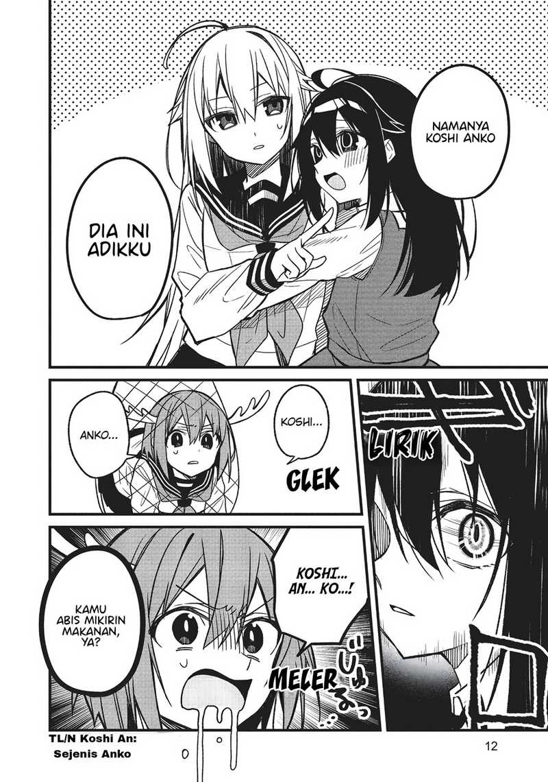 Shikanoko Nokonoko Koshitantan