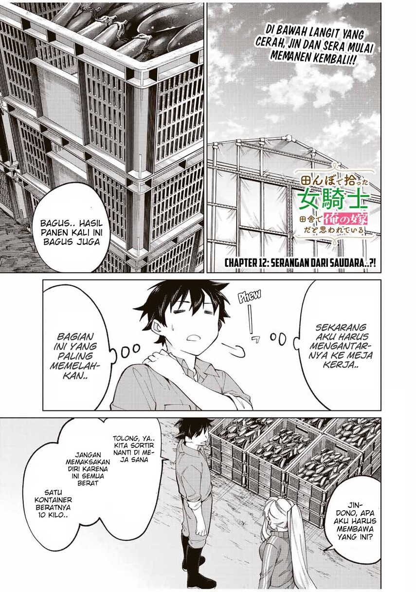 Tanbo de Hirotta Onna Kishi, Inaka de Ore no Yome da to Omowareteiru