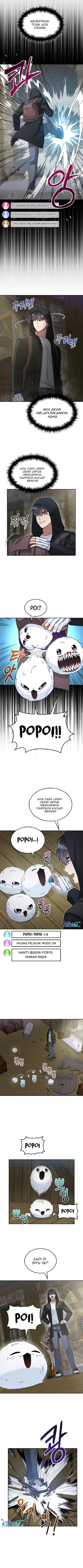 The Newbie Is Too Strong