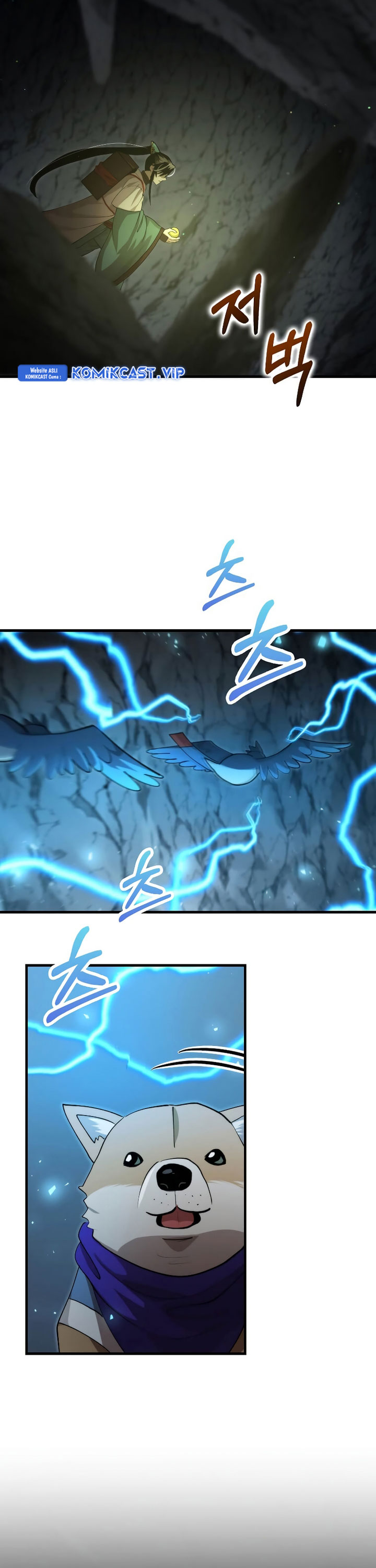 Doctor’s Rebirth