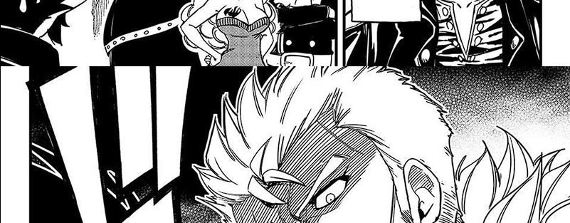 Fairy Tail: 100 Years Quest