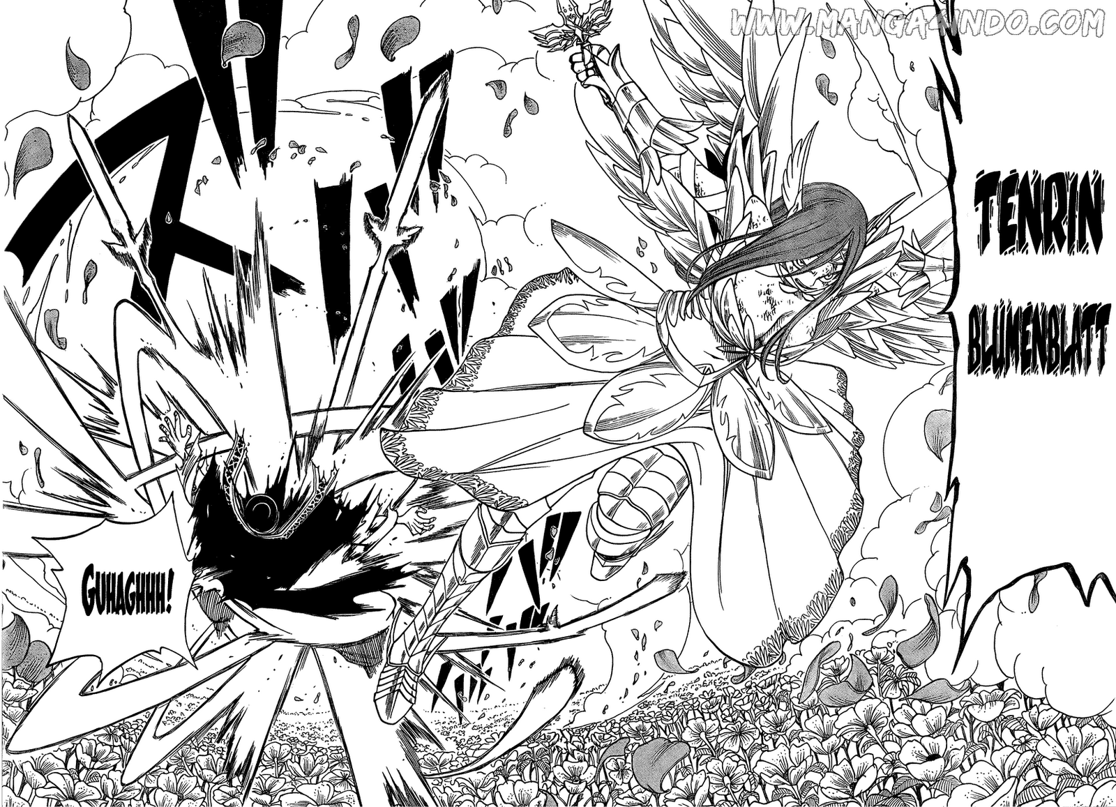 Fairy Tail
