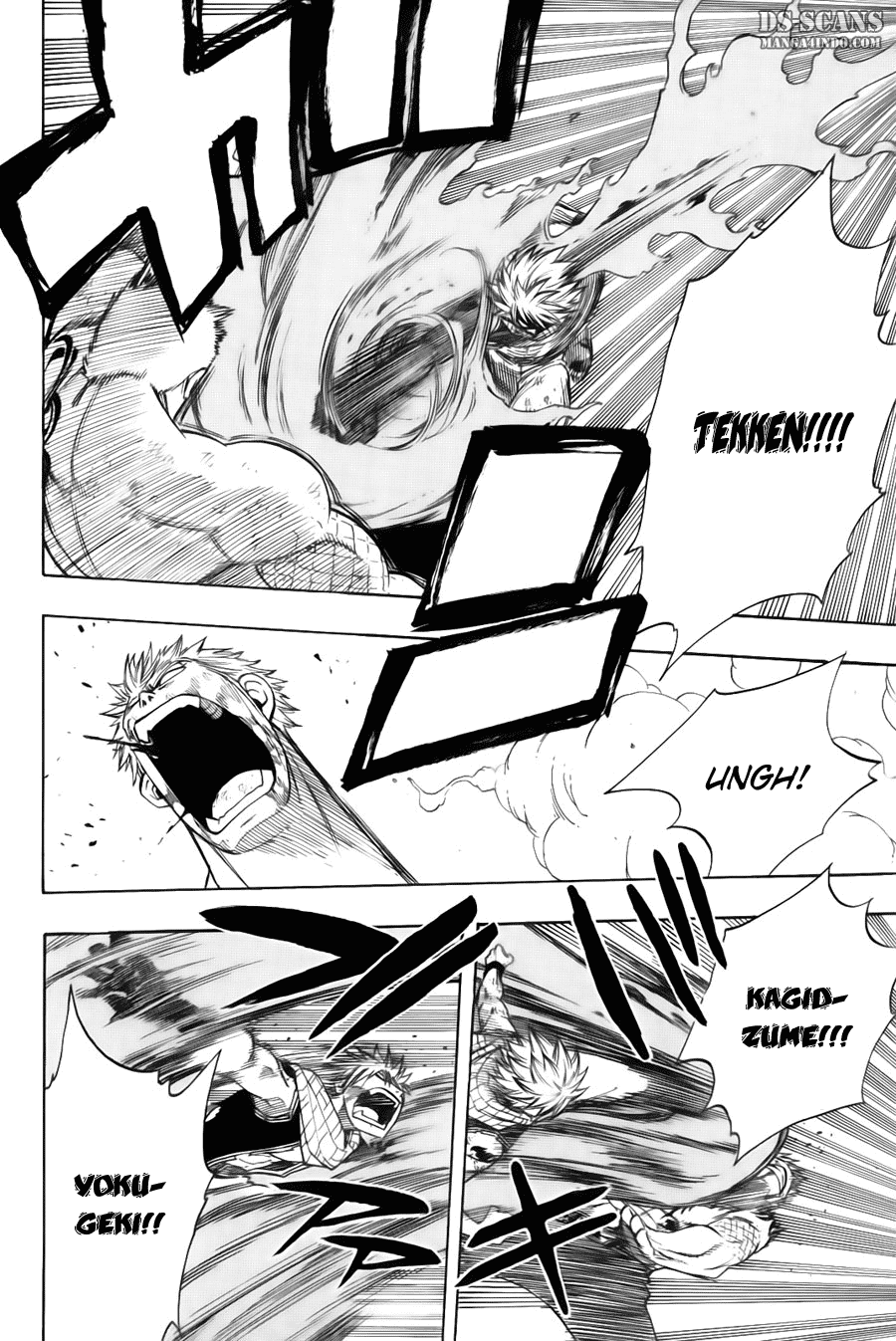 Fairy Tail