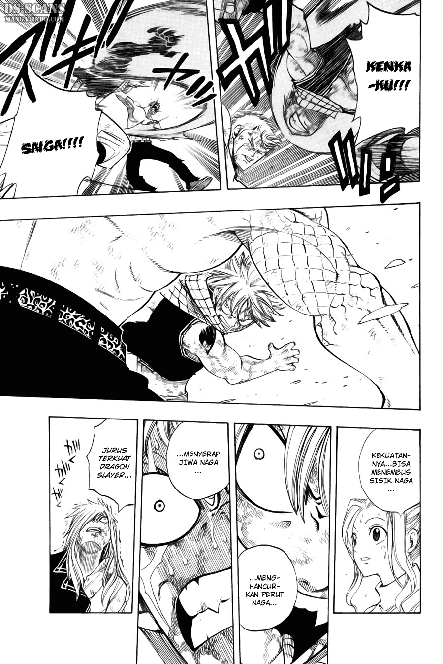 Fairy Tail