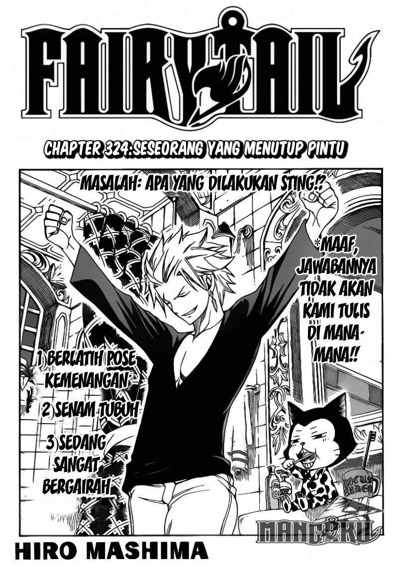 Fairy Tail Chapter 324