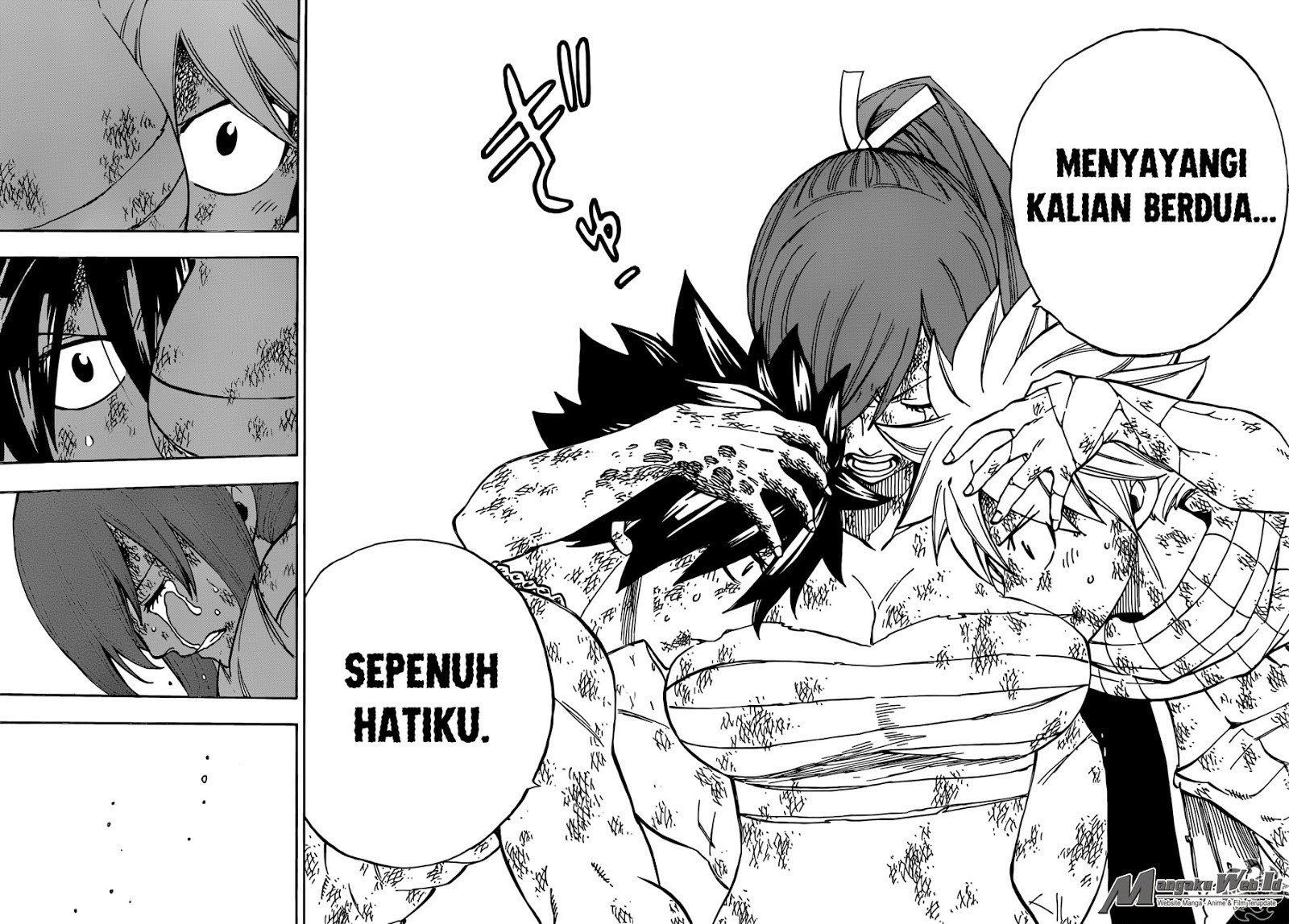 Fairy Tail Chapter 507