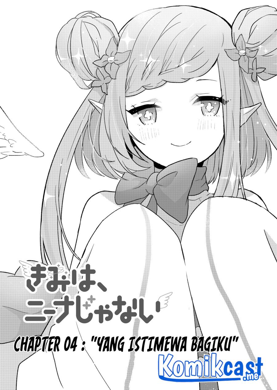 Kimi wa, Nina Janai