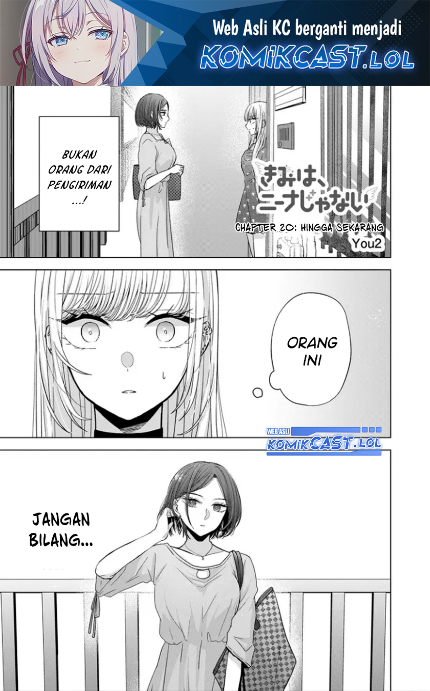 Kimi wa, Nina Janai