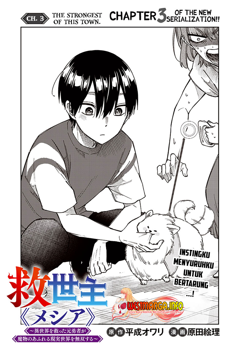 Kyuuseishu  ~Isekai wo Sukutta Moto Yuusha ga Mamono no Afureru Genjitsu Sekai wo Musou suru~
