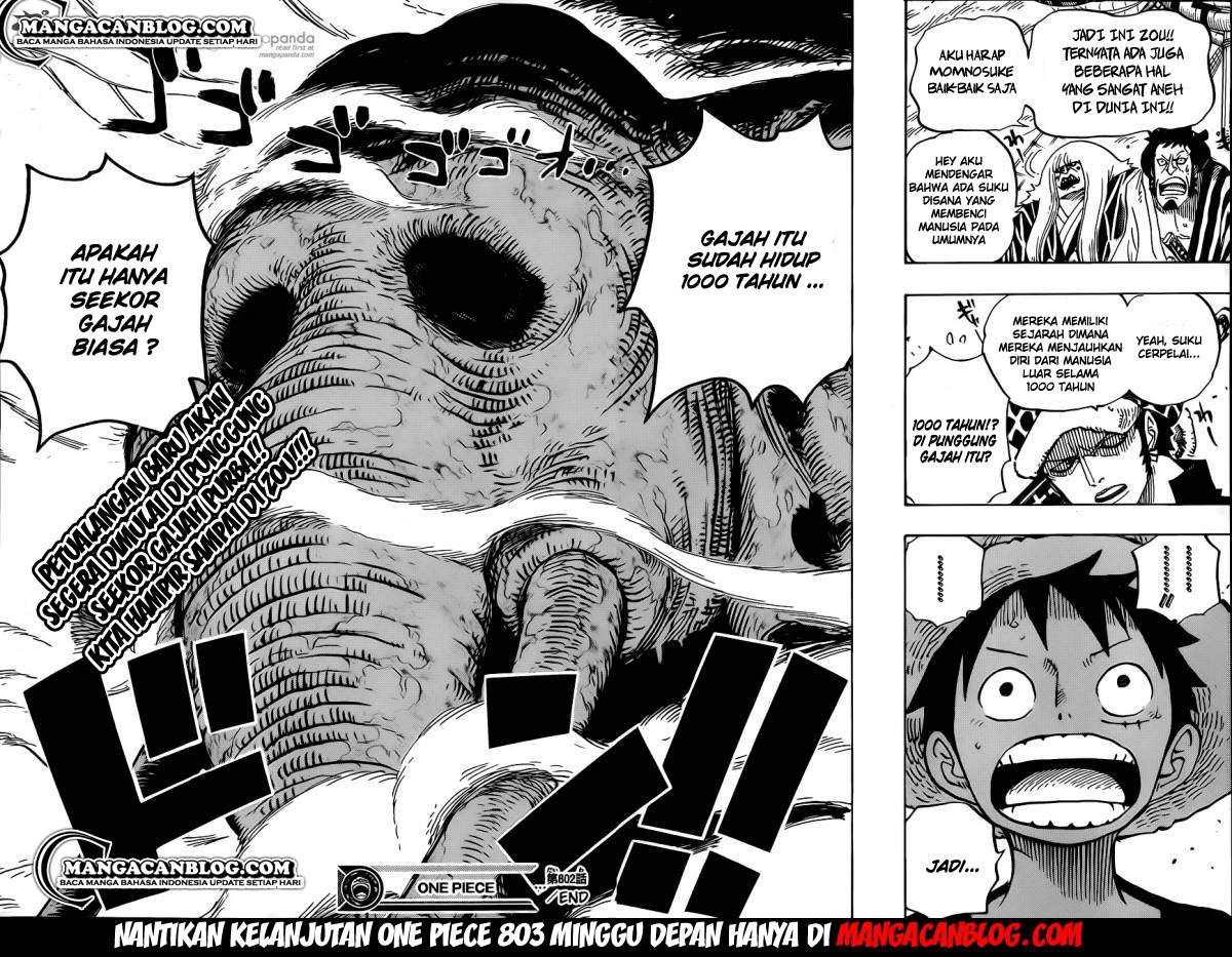 One Piece