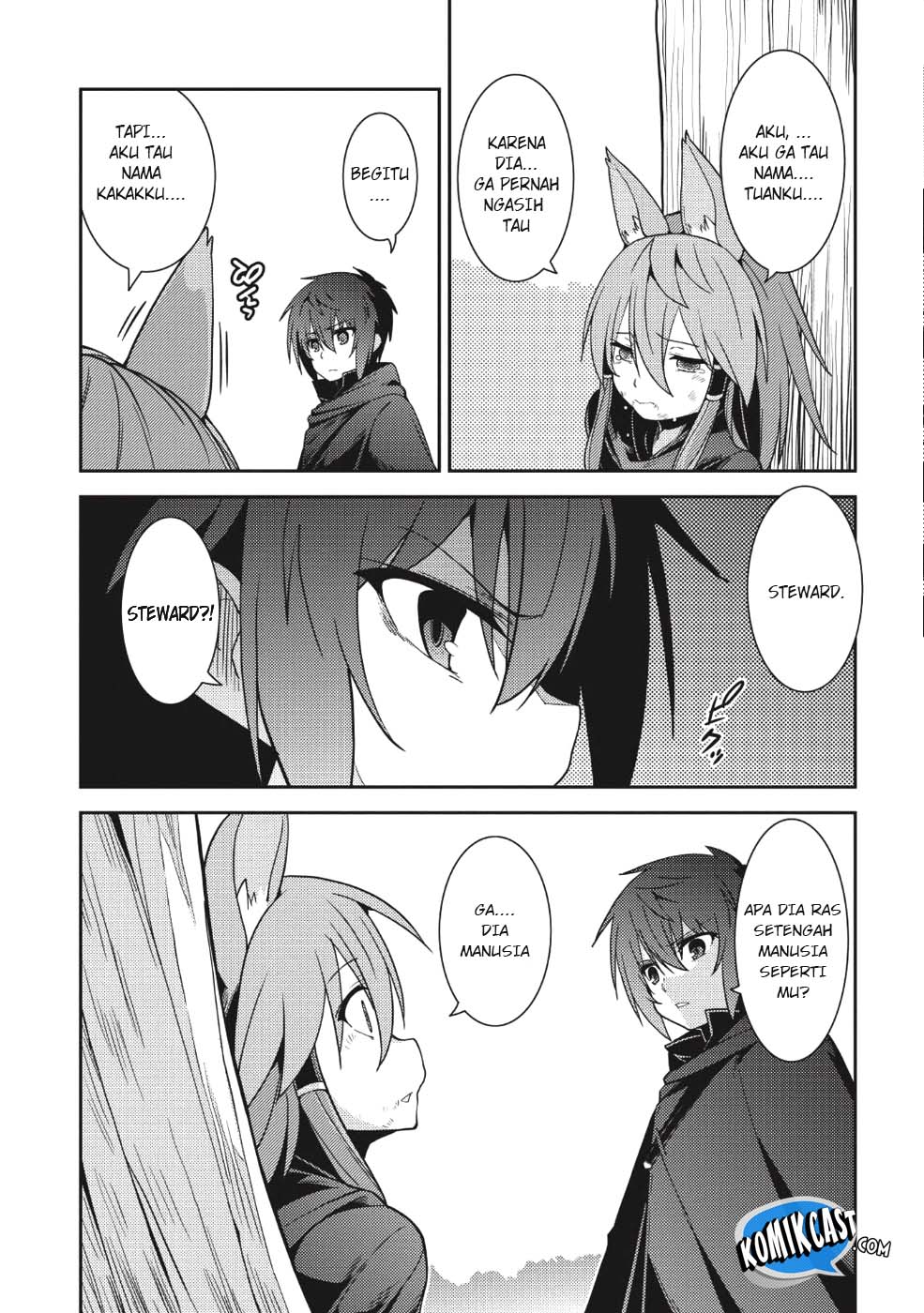 Seirei Gensouki (Minazuki Futago)
