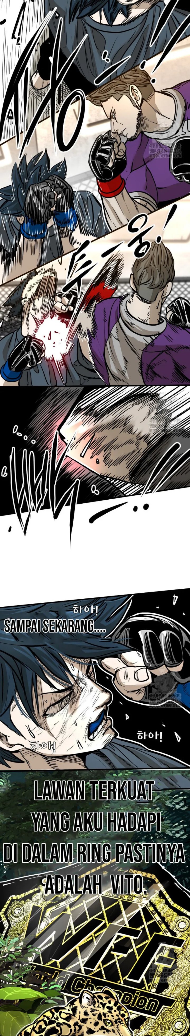 Shark