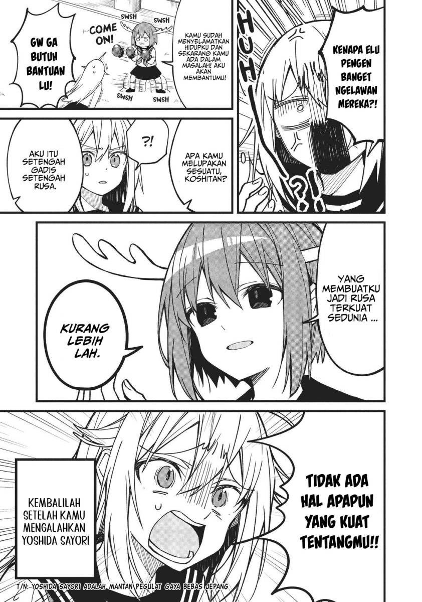 Shikanoko Nokonoko Koshitantan