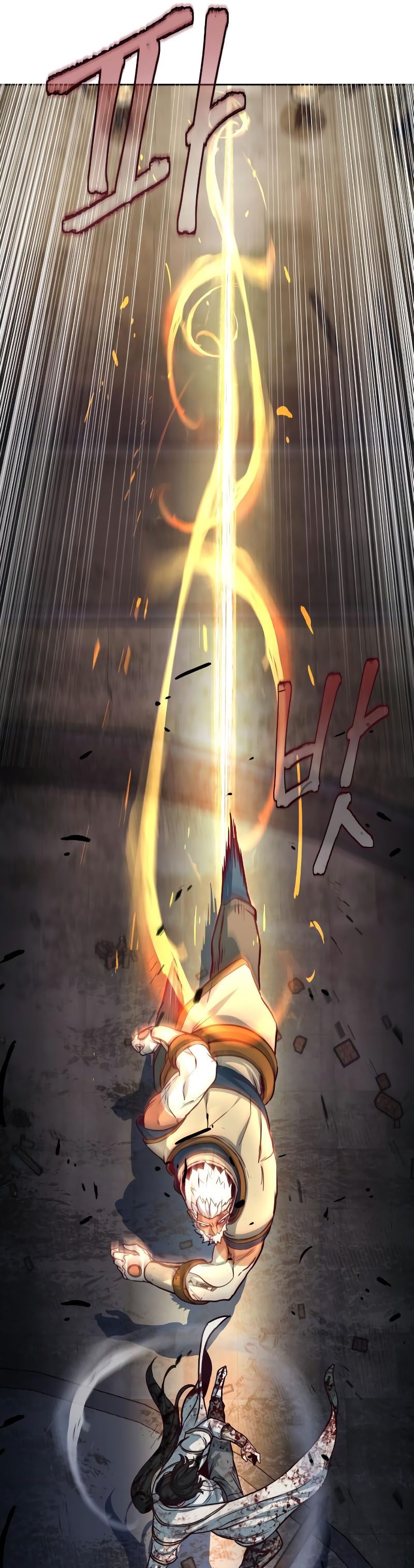 Sword Fanatic Wanders Through The Night