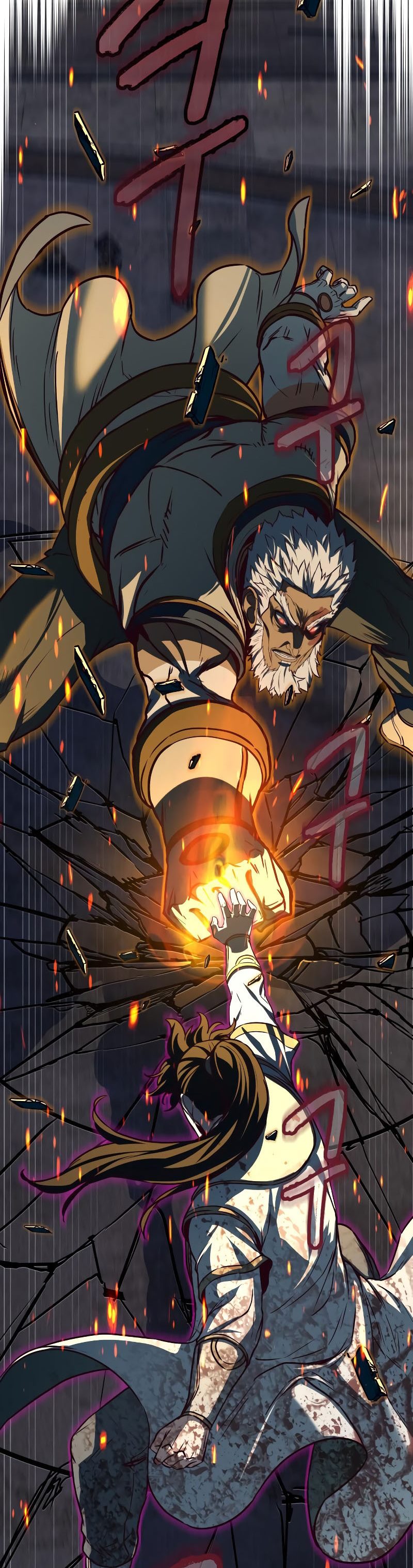 Sword Fanatic Wanders Through The Night