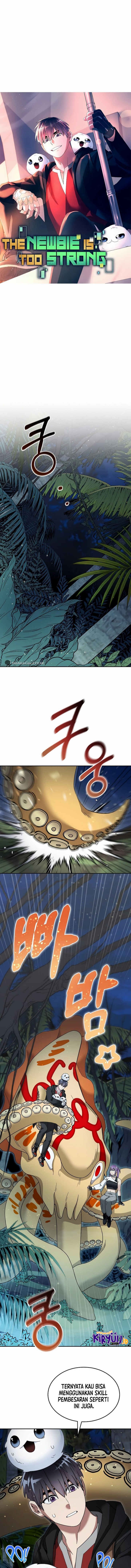 The Newbie Is Too Strong